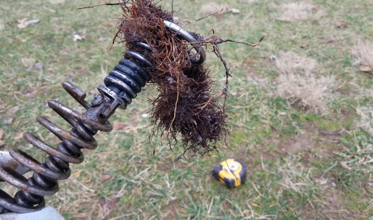 Root Intrusion in Sewer Lines of New Braunfels TX