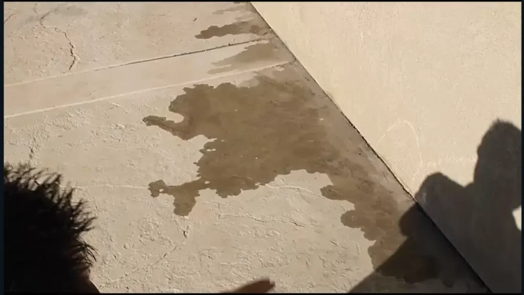 Slab Leak Repair in New Braunfels TX